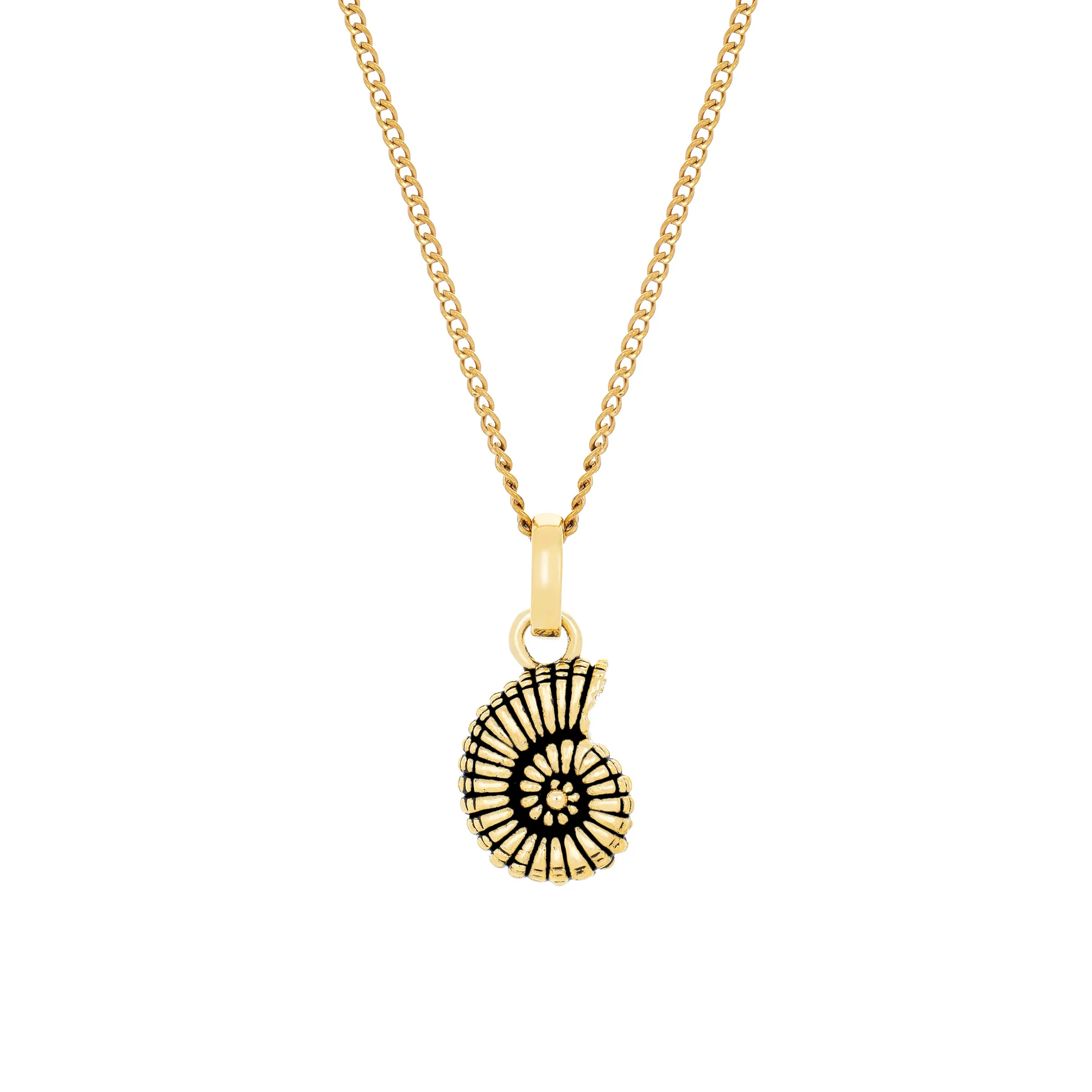 Ammonite Necklace