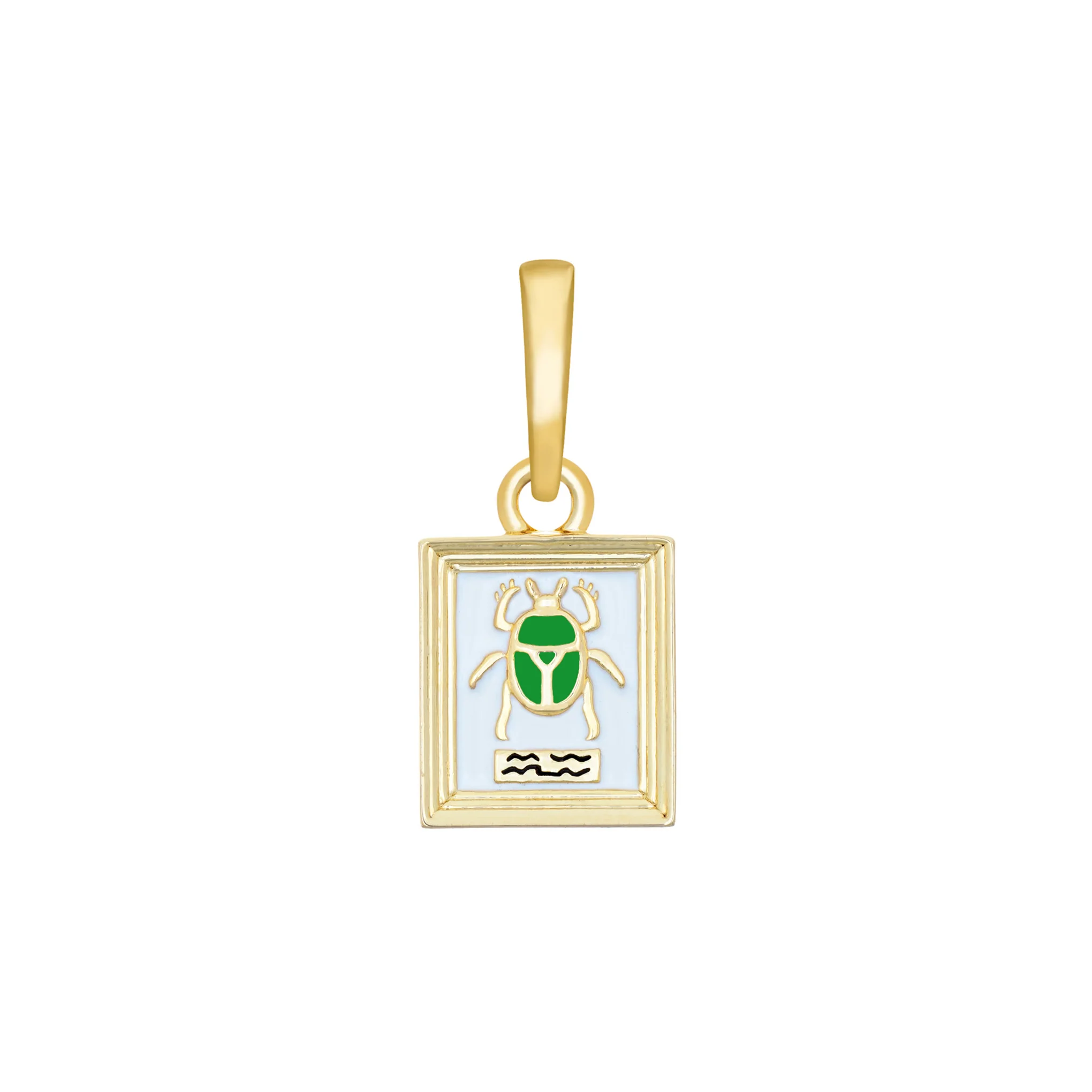 Beetle Specimen Charm