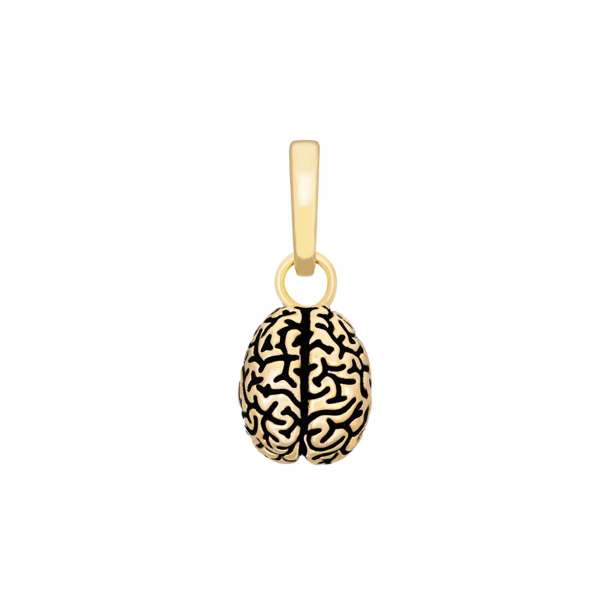Cortex Charm