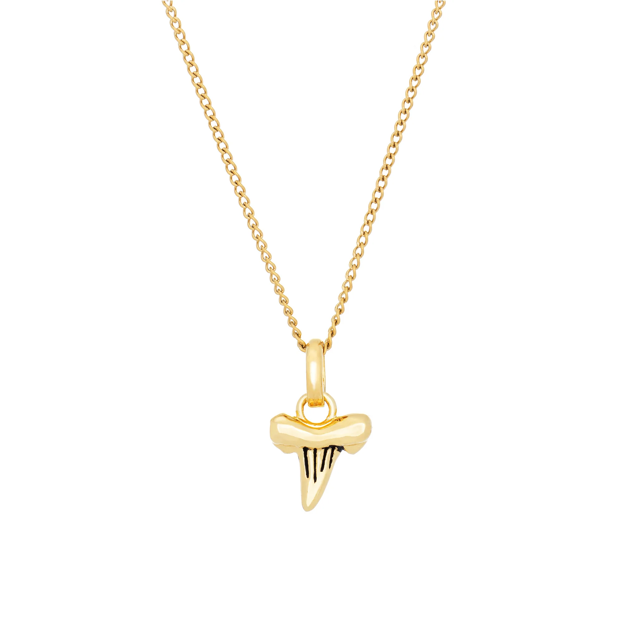 Shark Tooth Necklace