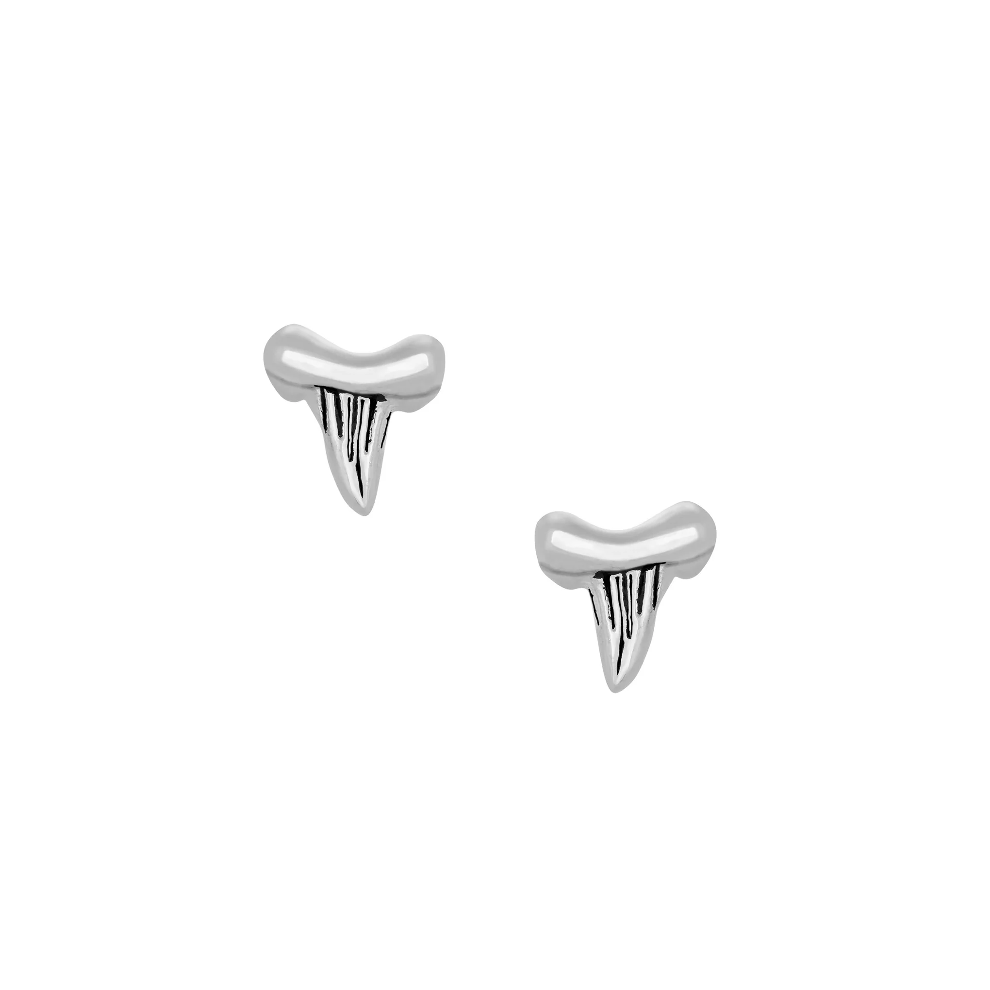 Shark Tooth Studs - Image 2